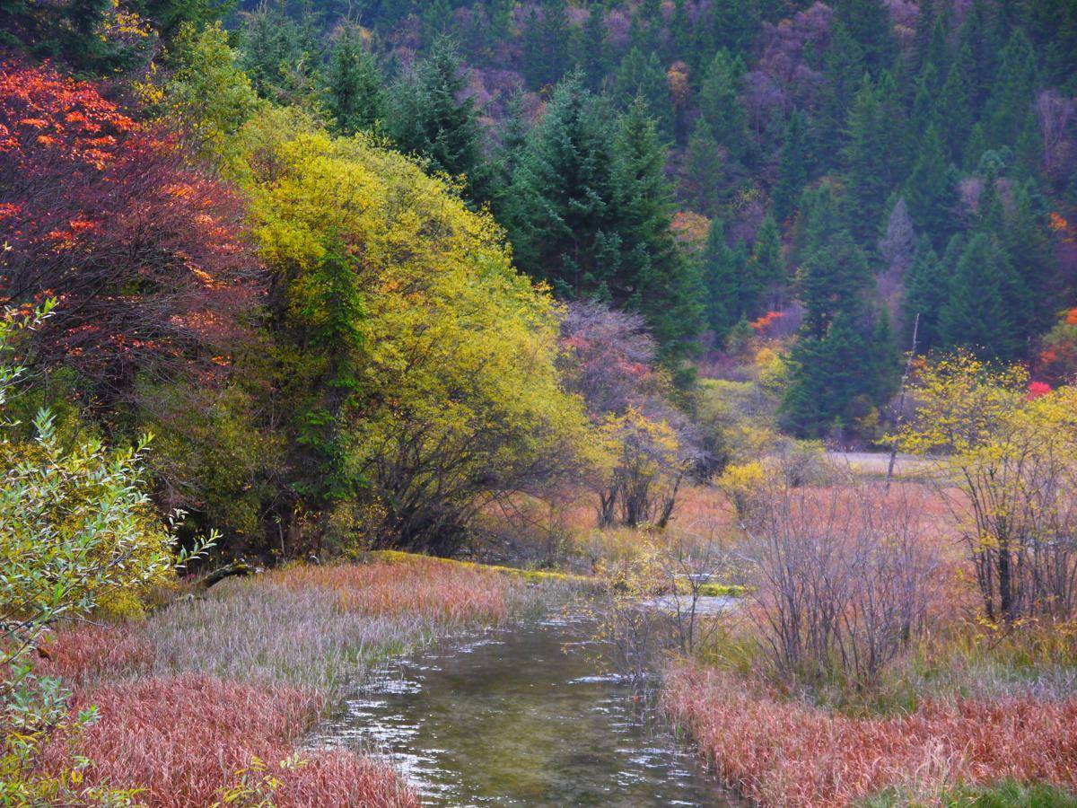 Lembah Jiuzhaigou