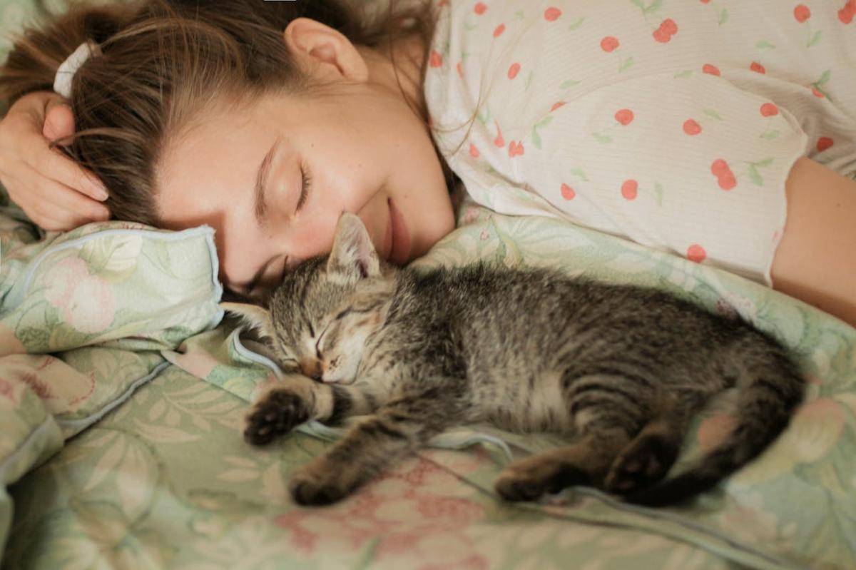 Kucing tertidur bersama pemiliknya