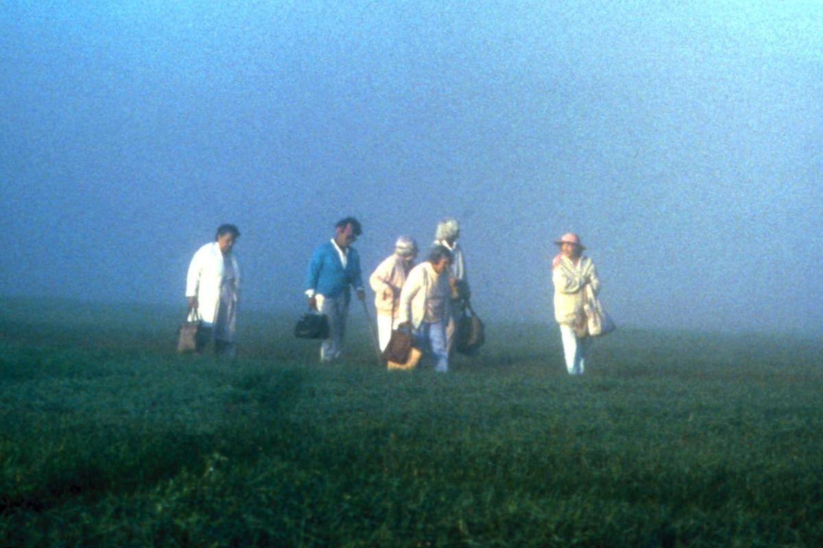 The Company of Strangers