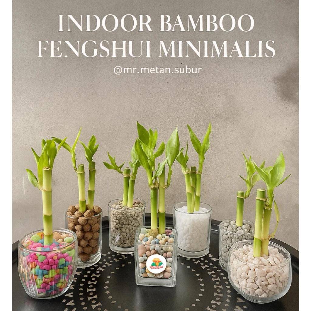 Hiasan Bambu