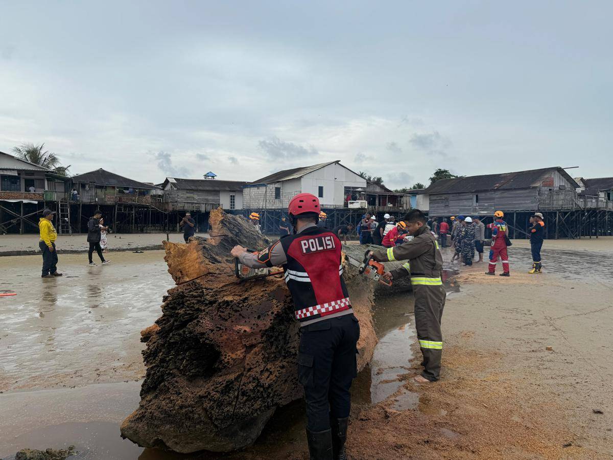 Petugas memotong batang kayu yang hanyut mendekati rumah warga.