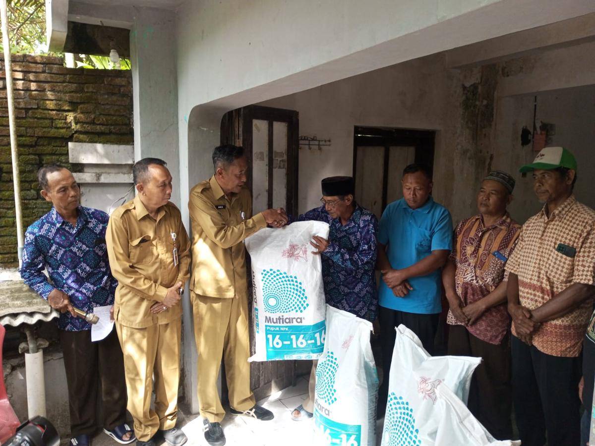 Petani Lahan Pasir Terima Bantuan 5 Ton Pupuk dari Pemkab Bantul