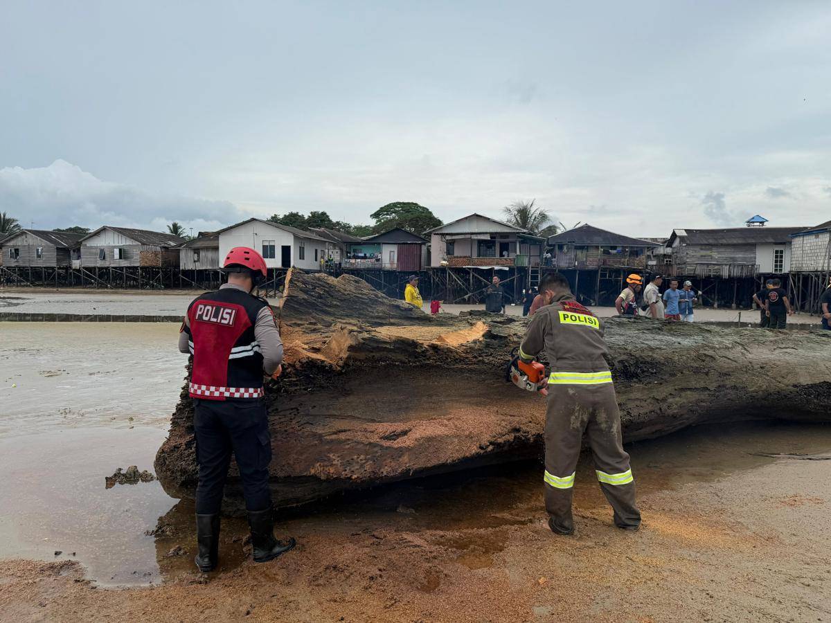 Batang kayu sepanjang kurang lebih 15 meter ini membuat warga was-was.