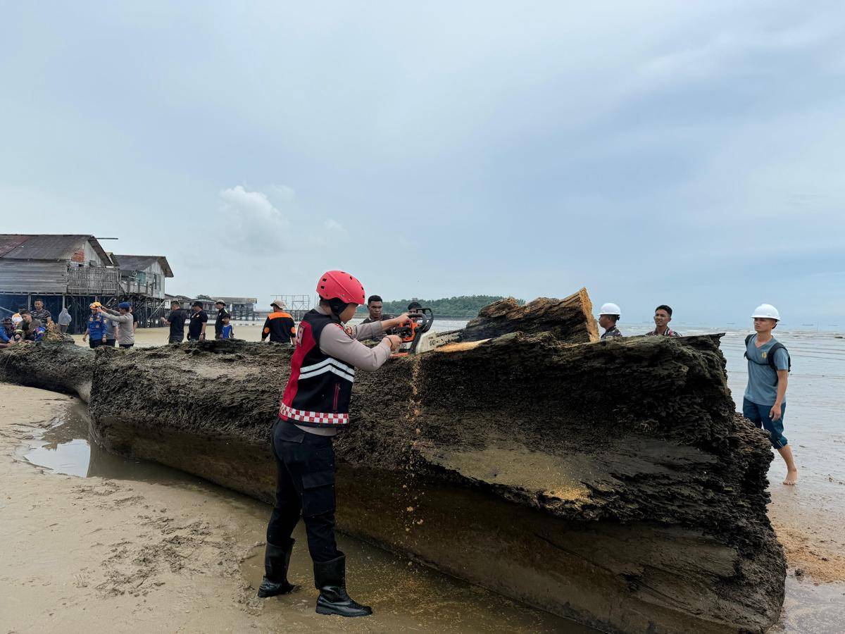 Batang kayu sepanjang kurang lebih 15 meter yang hanyut di dekat permukiman warga pesisir Balikpapan.