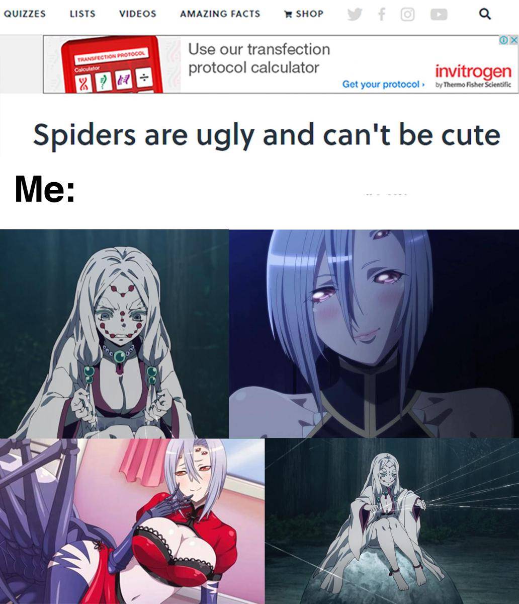 meme anime tentang laba-laba