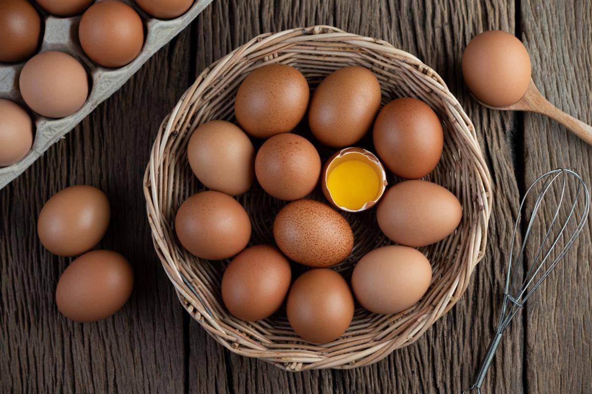 ilustrasi telur ayam (freepik.com/jcomp)