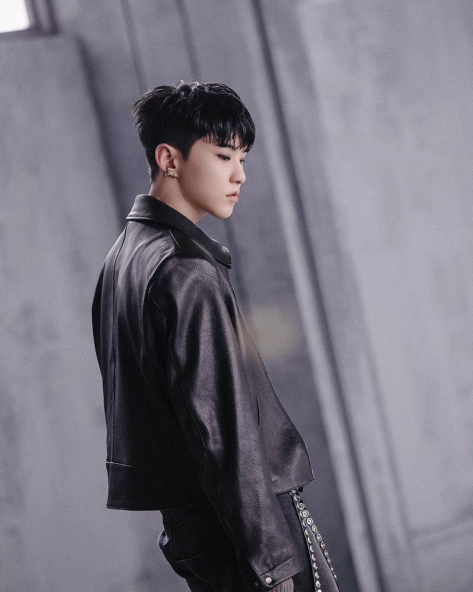 potret Hoshi SEVENTEEN 