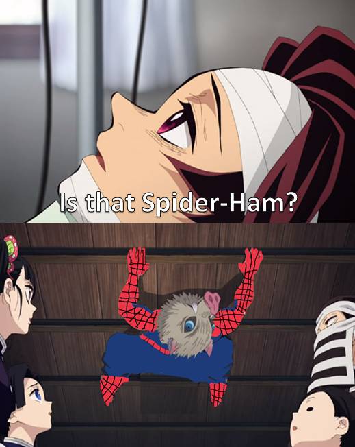 meme anime tentang laba-laba
