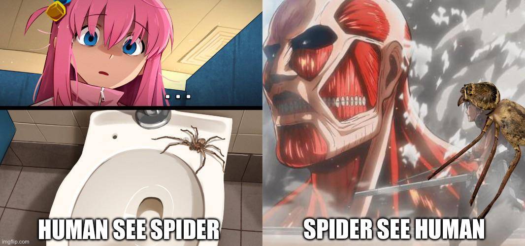 meme anime tentang laba-laba