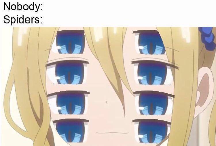 meme anime tentang laba-laba