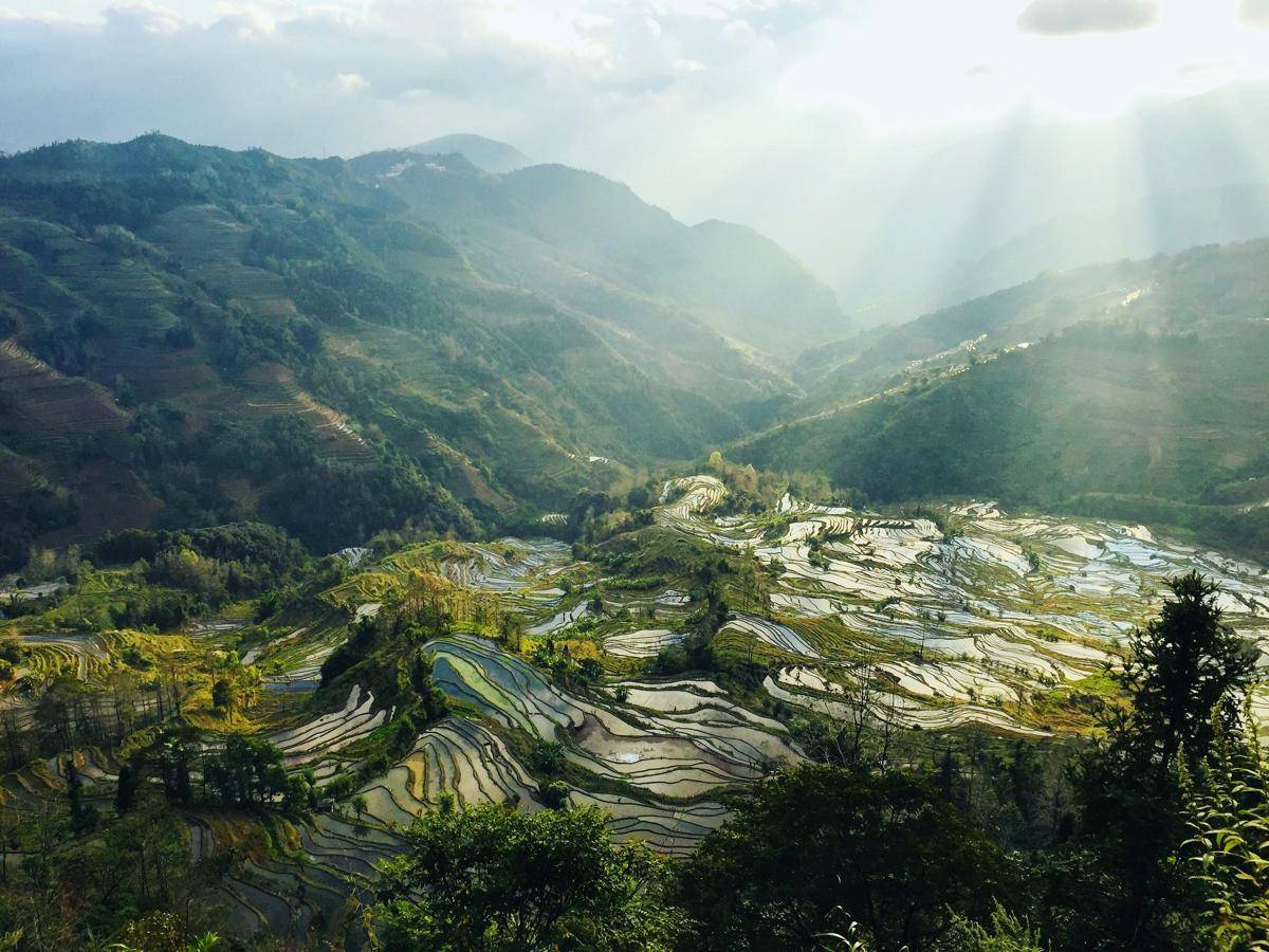 Terasering Honghe Hani