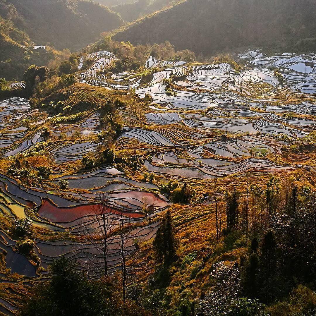 Terasering Honghe Hani