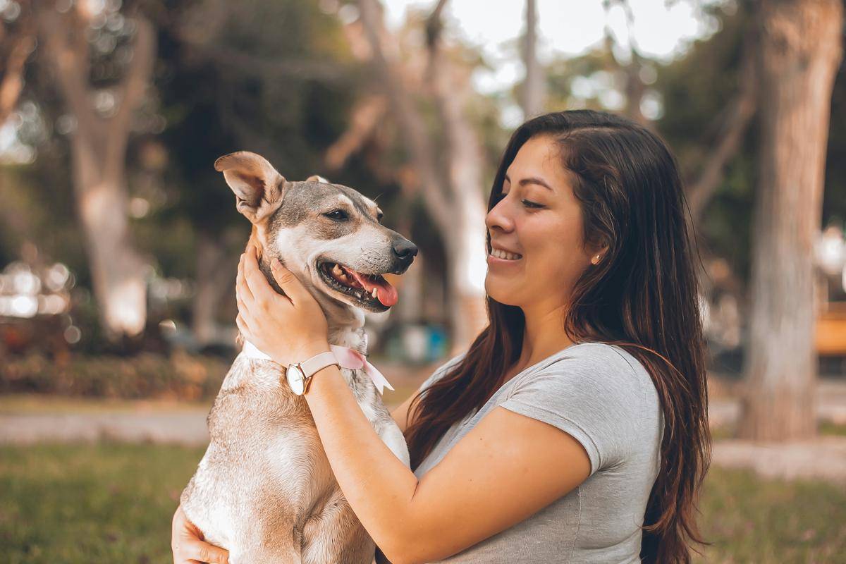 ilustrasi Animal Behaviorist (unsplash.com/@mmeza)