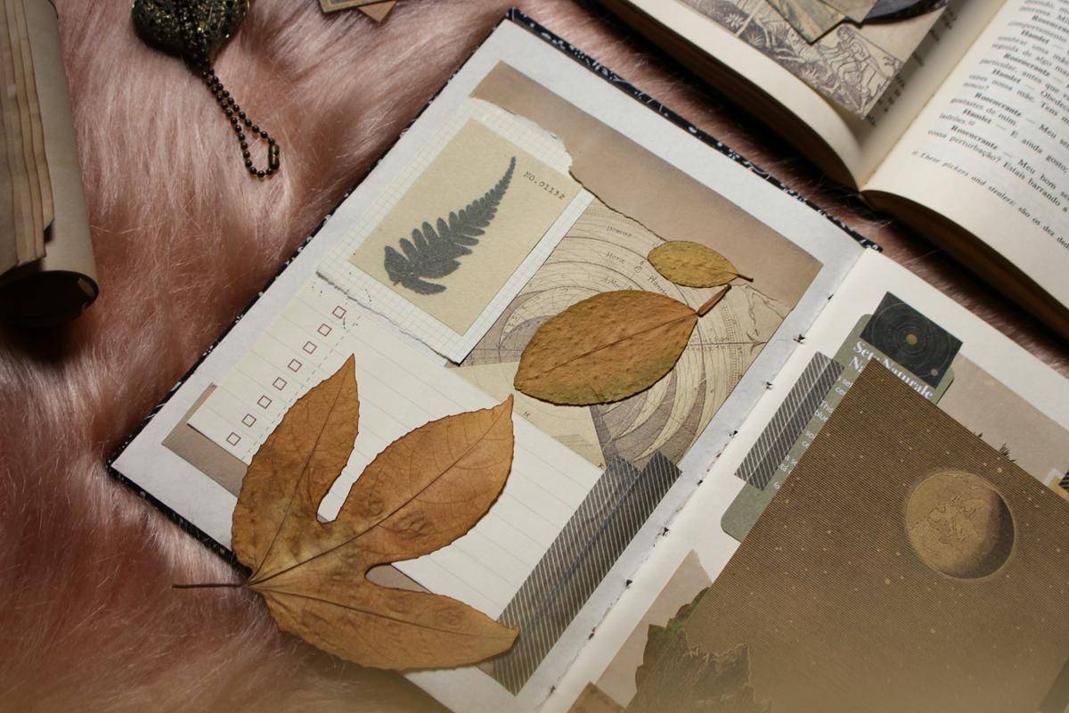 ilustrasi membuat scrapbook 