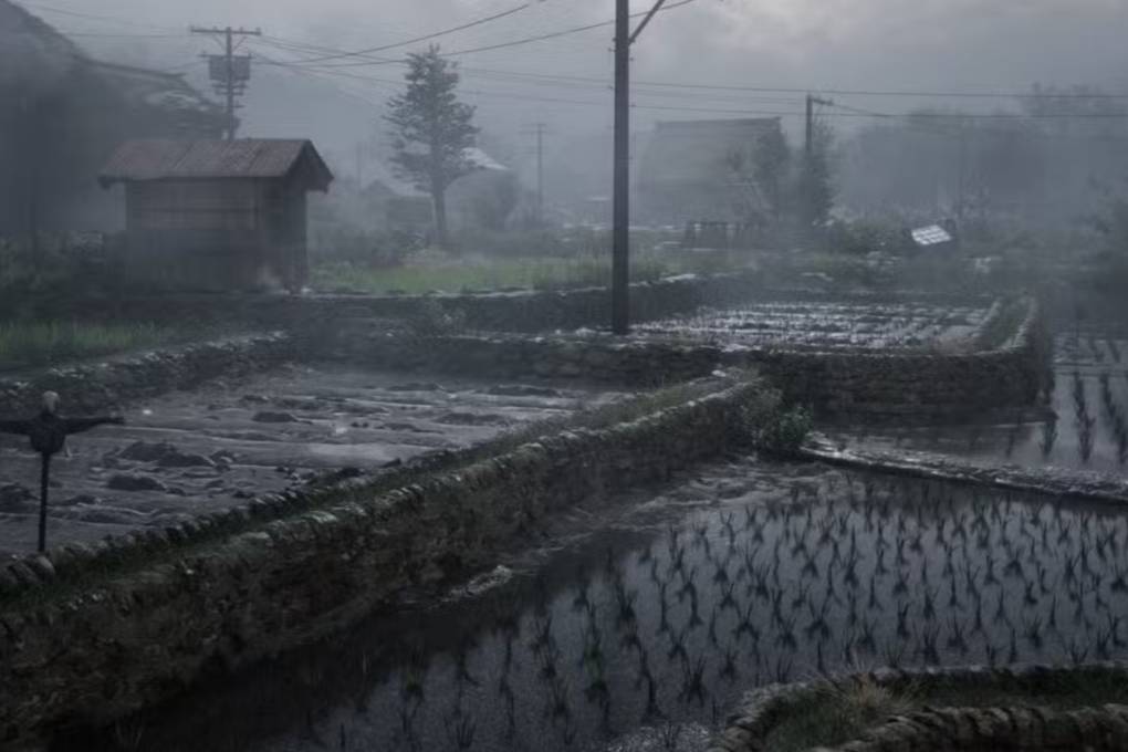 sawah di Silent Hill terbaru