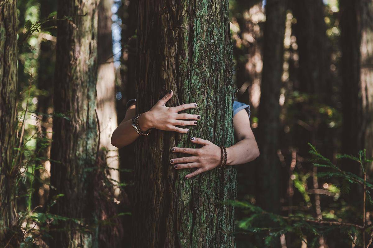 Professional Cuddler (unsplash.com/@trenthaaland)
