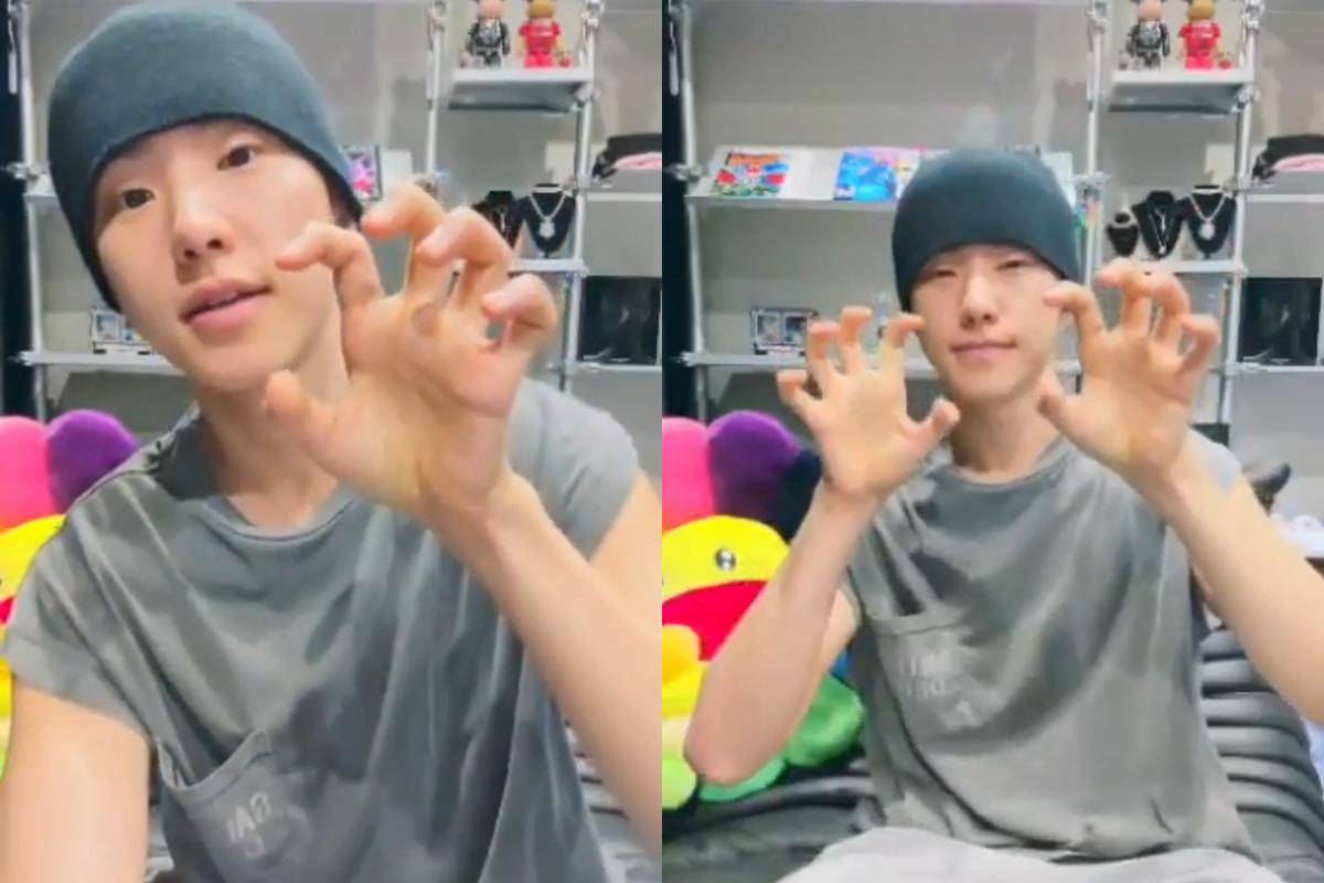 Live Hoshi SEVENTEEN sebelum berangkat wamil