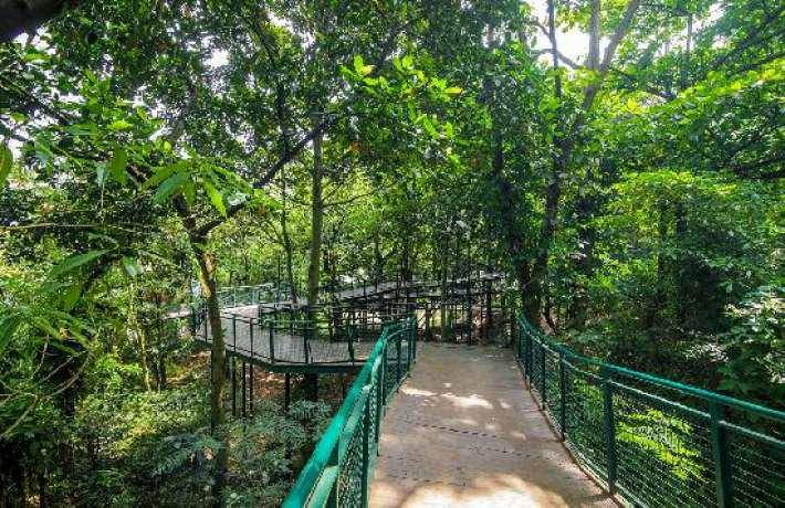 Forest Walk Bandung