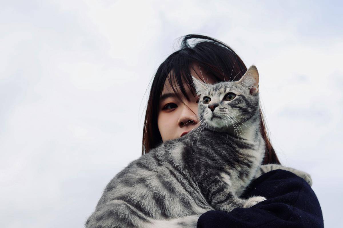 ilustrasi Animal Behaviorist (unsplash.com/@berzk)