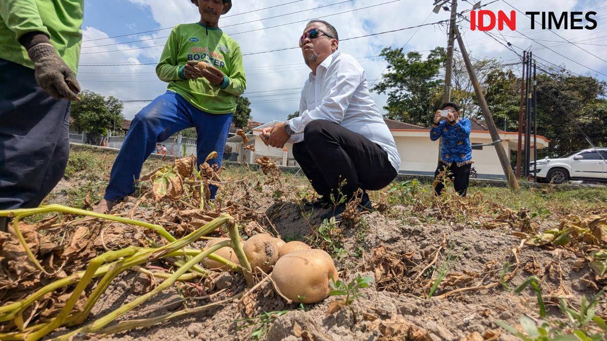 Wabup Magetan temui petani kentang di desa Pacalan Plaosan. IDN Times/Riyanto.