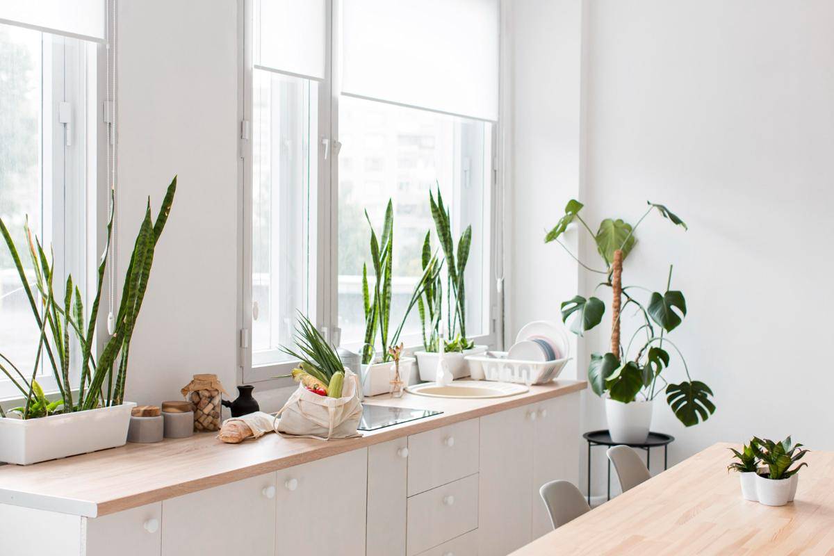 Ilustrasi dapur minimalis dengan tanaman