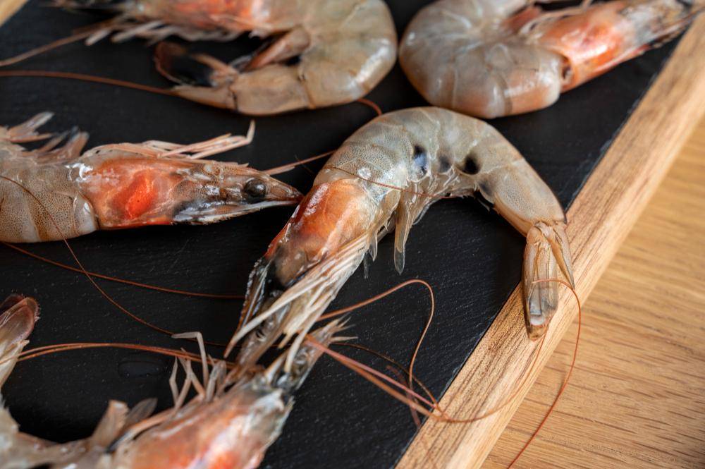 ilustrasi udang (freepik.com/freepik)