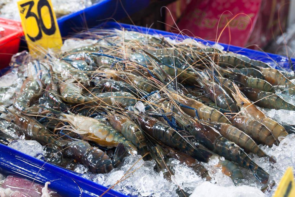 ilustrasi udang (freepik.com/schantalao)