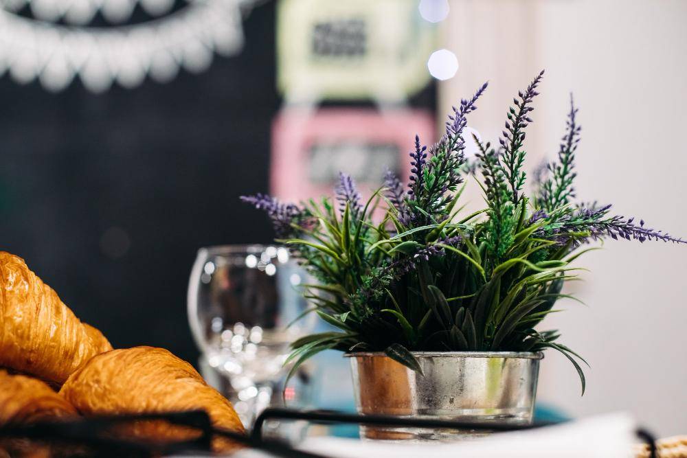ilustrasi lavender