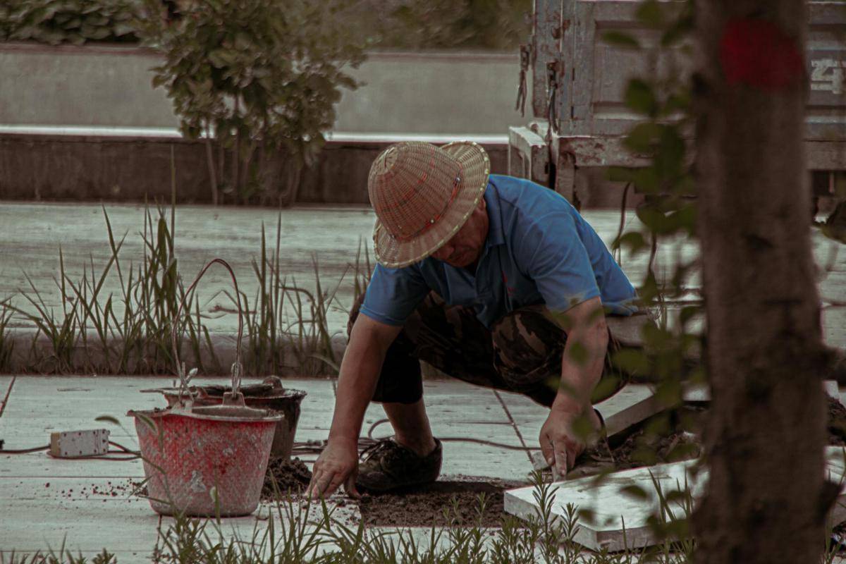 ilustrasi berkebun (pexels.com/Eraisy Noise)