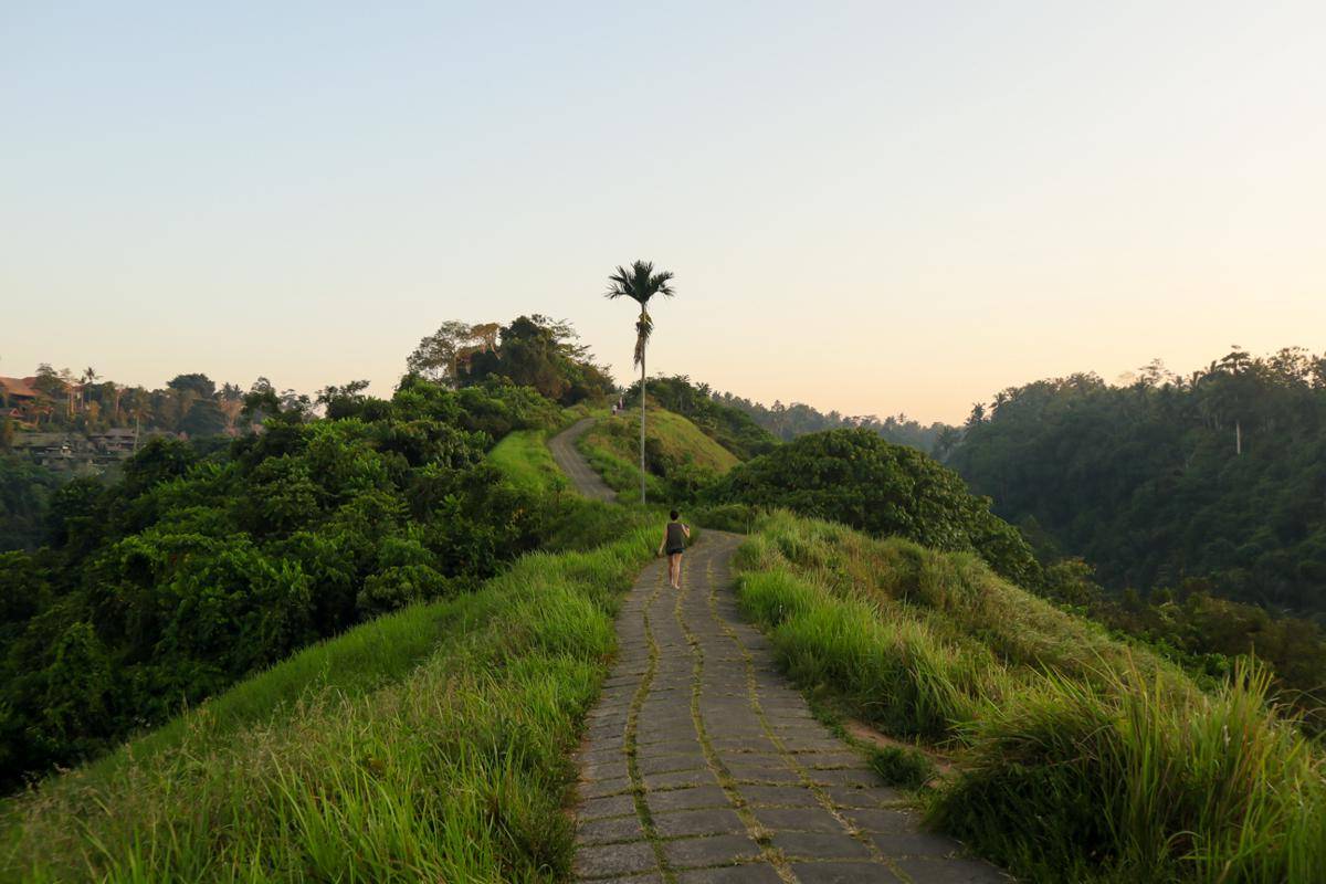 ilustrasi hiking pagi di Bukit Campuhan, Ubud
