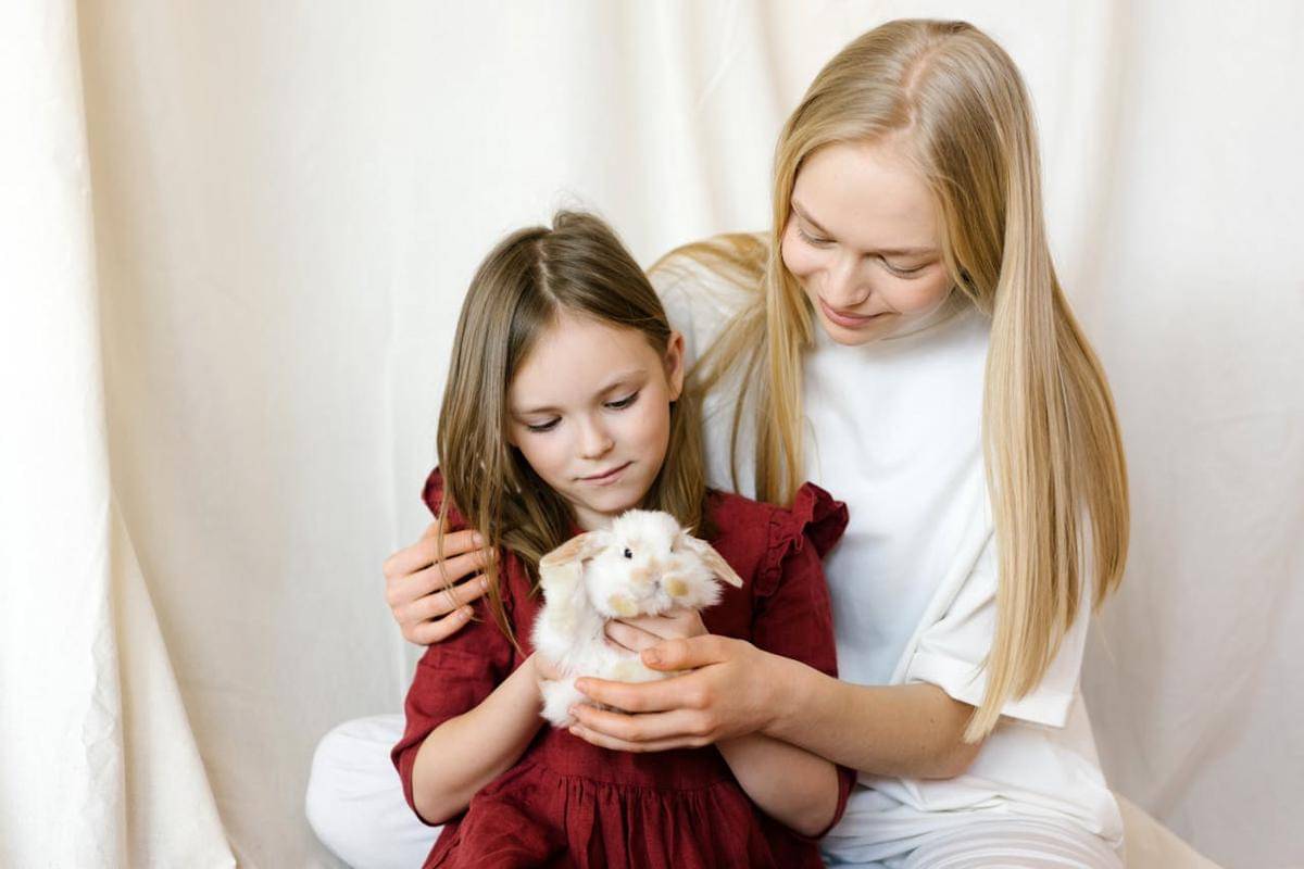 ilustrasi memelihara kelinci (pexels.com/Mikhail Nilov)