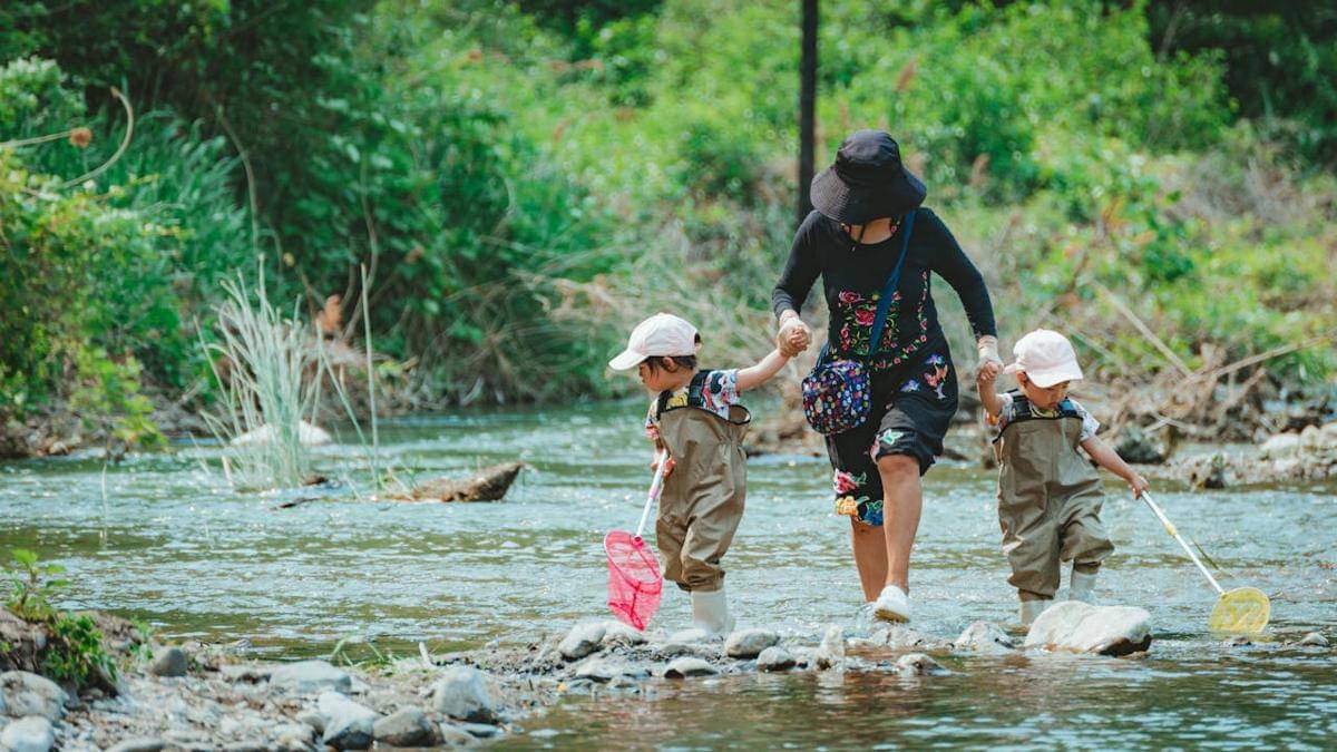 ilustrasi jalan-jalan di sungai (pexels.com/SONIC)