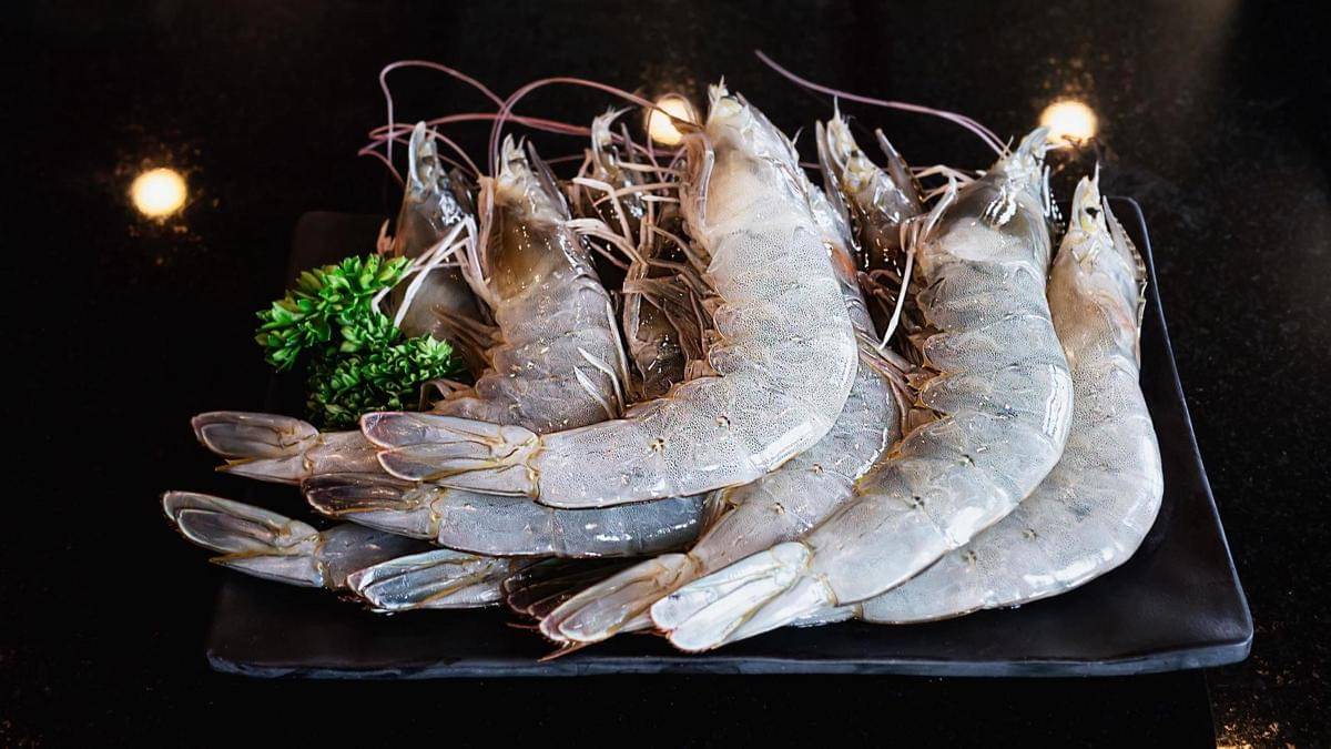 ilustrasi udang segar (vecteezy.com/Srinrat Wuttichaikitcharoen)