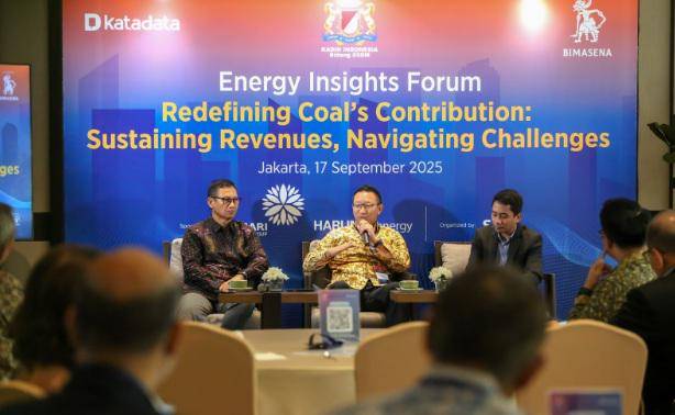 Batu Bara Masih Jadi Pilar Penting Ketahanan Energi Indonesia (IDN Times/istimewa)