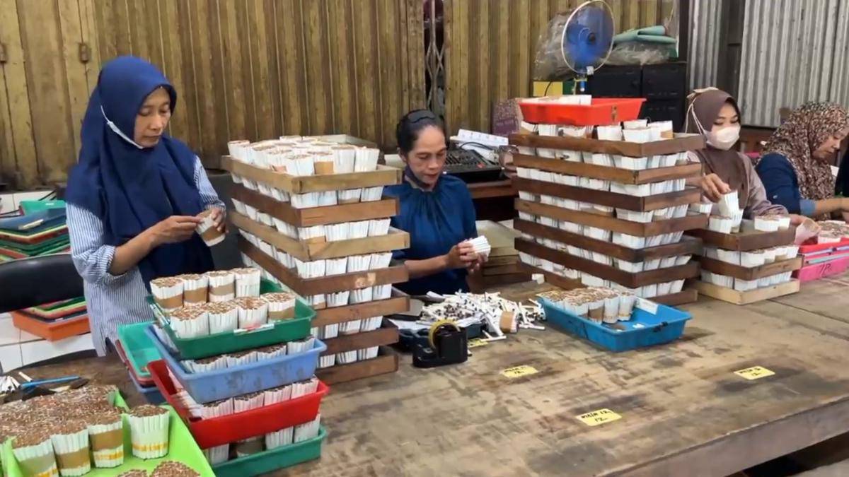 Pekerja pabrik rokok di Trenggalek saat beraktivitas. IDN Times/Bramanta Pamungkas