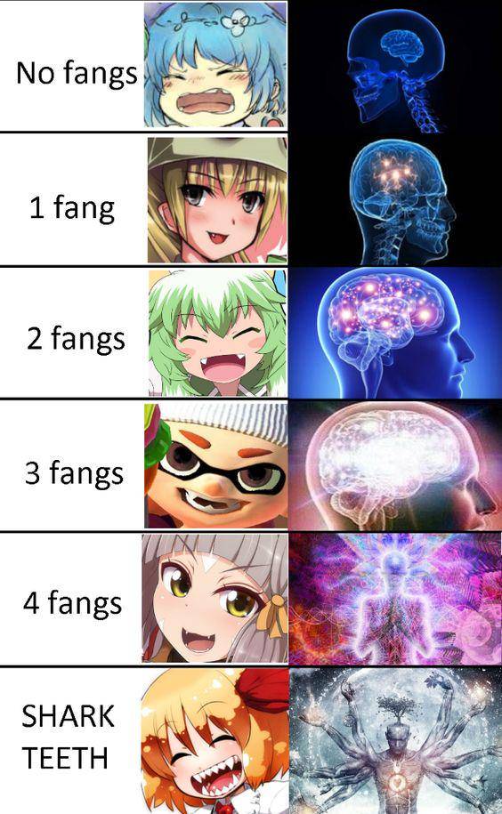 meme tentang bentuk gigi anime