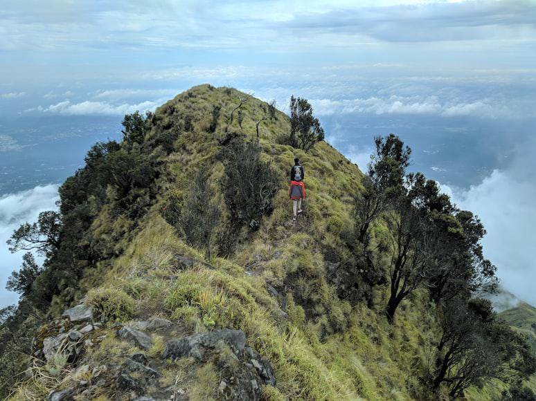 Ilustrasi Pendakian Gunung (Unsplash.com/@ugiik) 