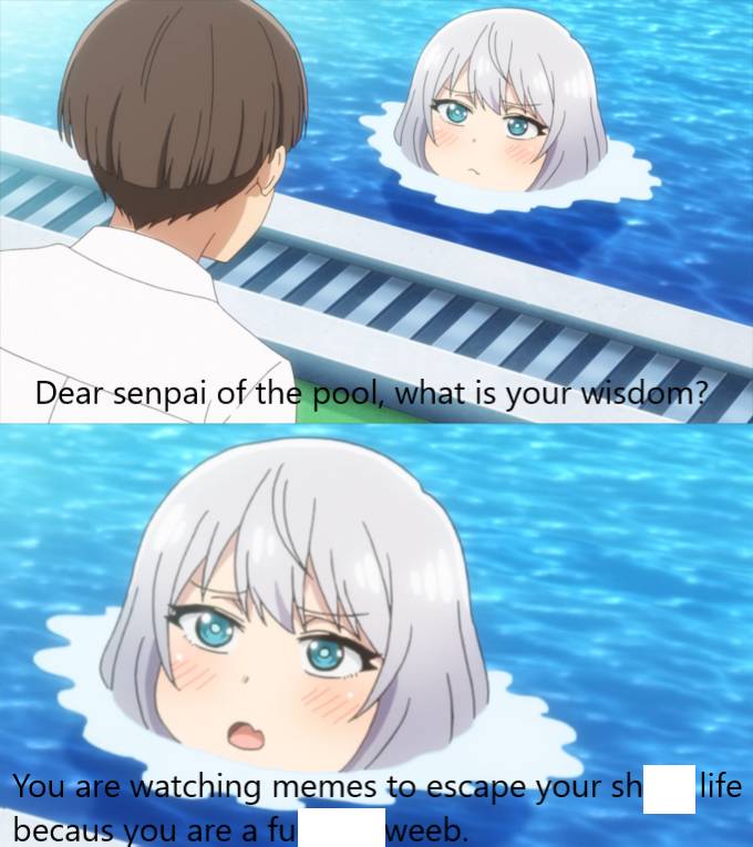 meme anime tentang kolam renang