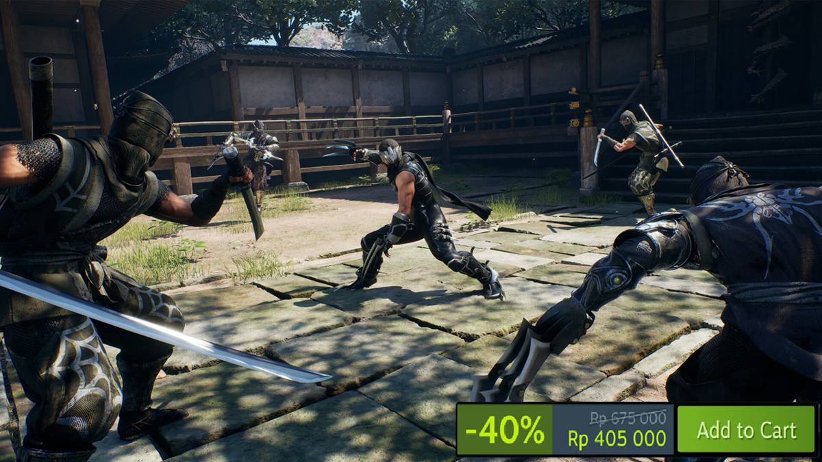 Ninja Gaiden 2 Black