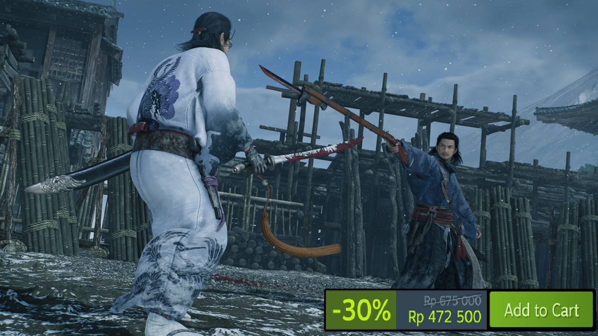 Rise of the Ronin
