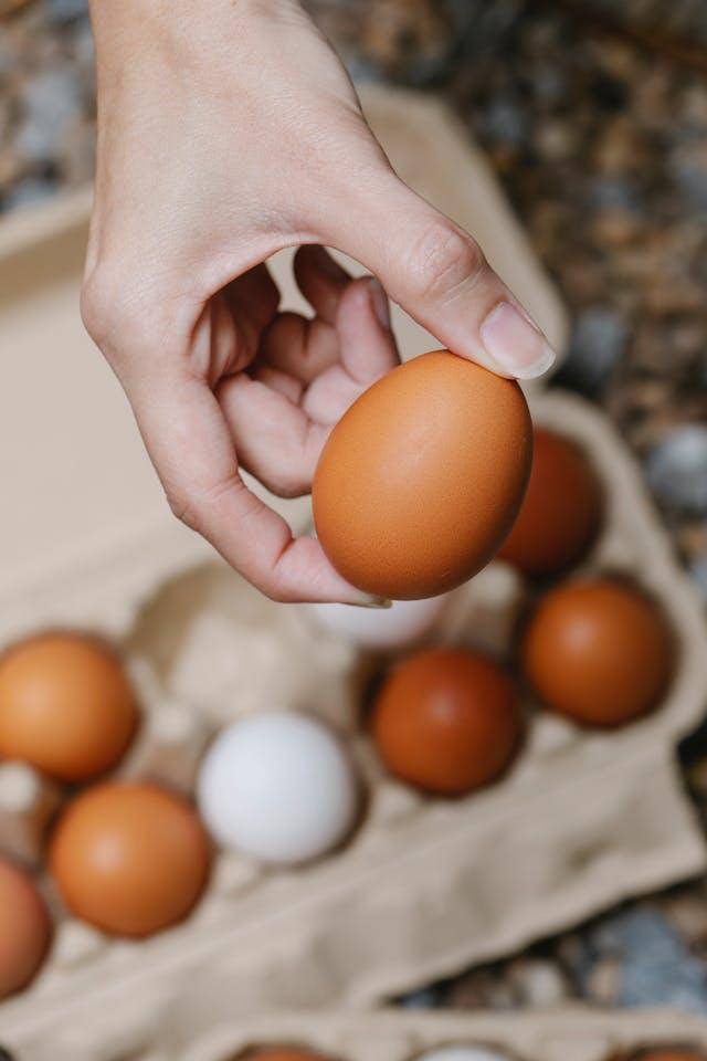 ilustrasi telur ayam (pexels.com/Klaus Nielsen)