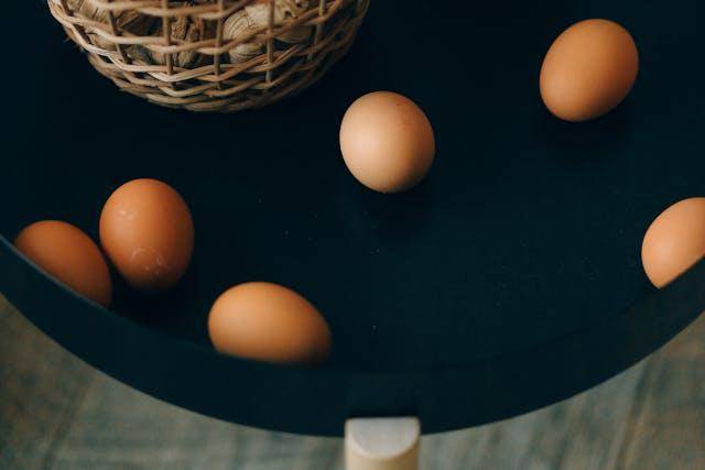 ilustrasi telur ayam (pexels.com/Nataliya Vaitkevich)
