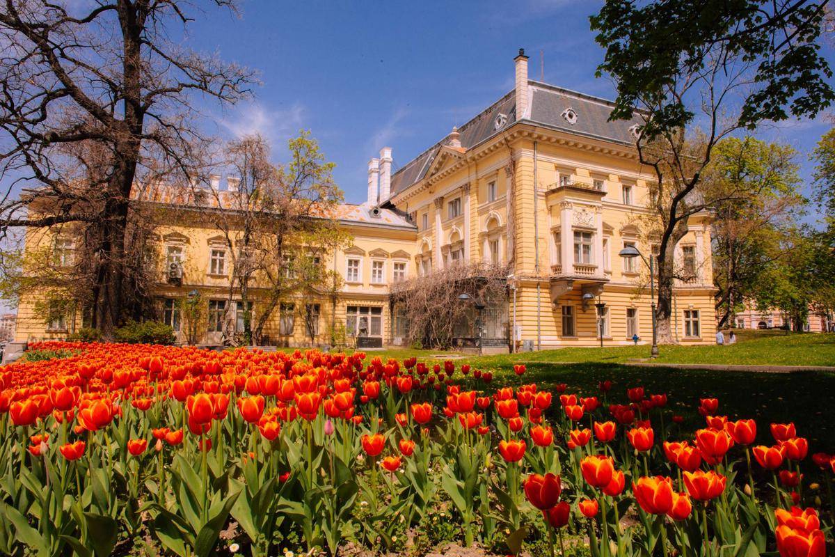 Sofia, Bulgaria (pexels.com/Rainer Eck)