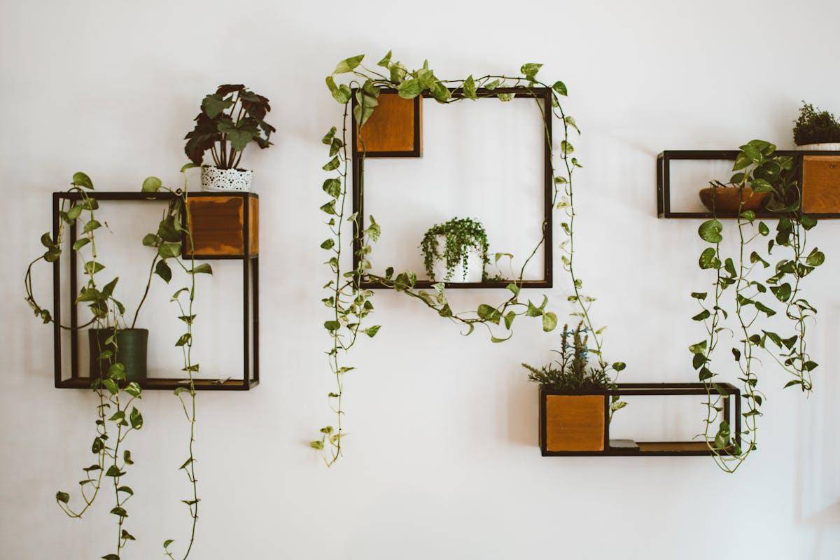 ilustrasi rak floating shelf (pexels.com/ROMAN ODINTSOV)
