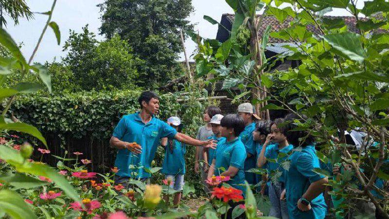8 SD Favorit di Bantul, Sekolah Hafidz hingga Kurikulum Cambridge