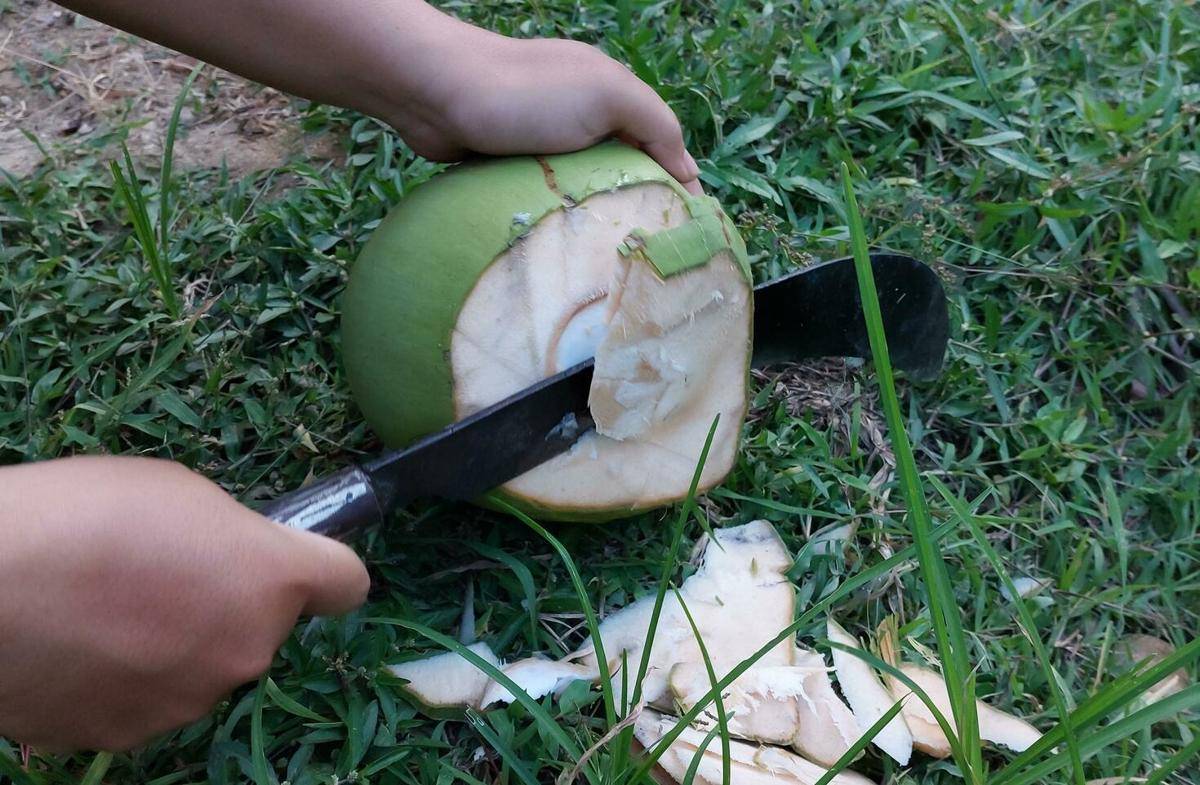 ilustrasi cara membuat es kelapa muda