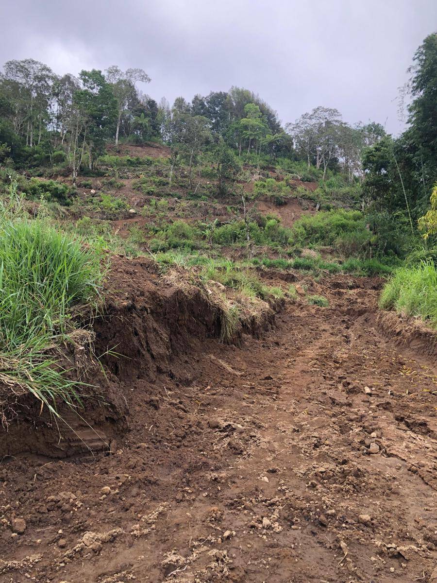 Pemkab Tabanan meninjau lokasi pembukaan lahan di salah satu bukit yang ada di Baturiti 