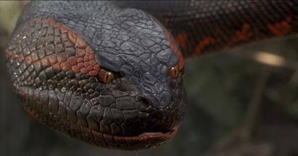 Penampakan Anaconda versi 1997