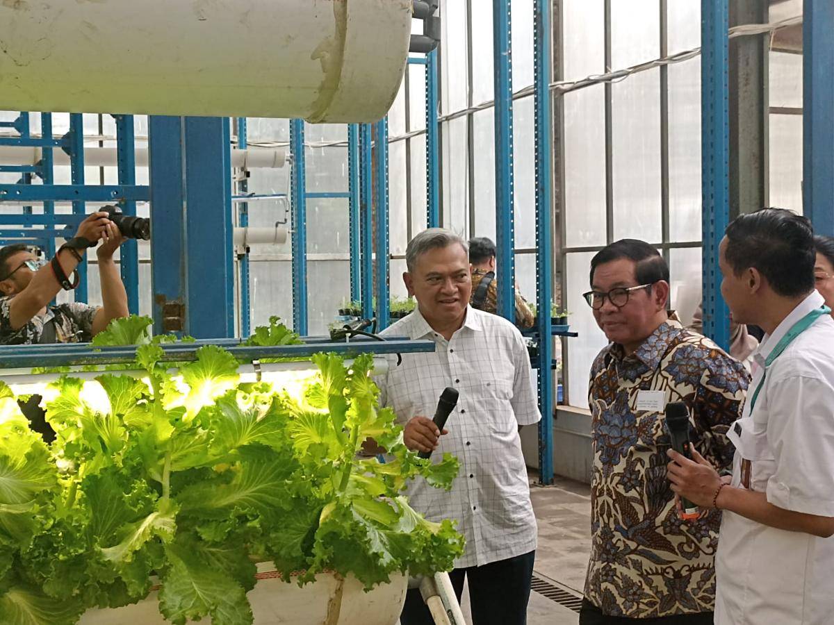 Pramono berkunjung ke Ladang Farm, pertanian hidroponik di Jaksel