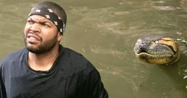 Ice Cube saat adegan diincar anaconda - Anaconda